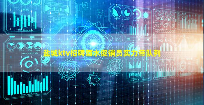 盐城ktv招聘酒水促销员实力带队列